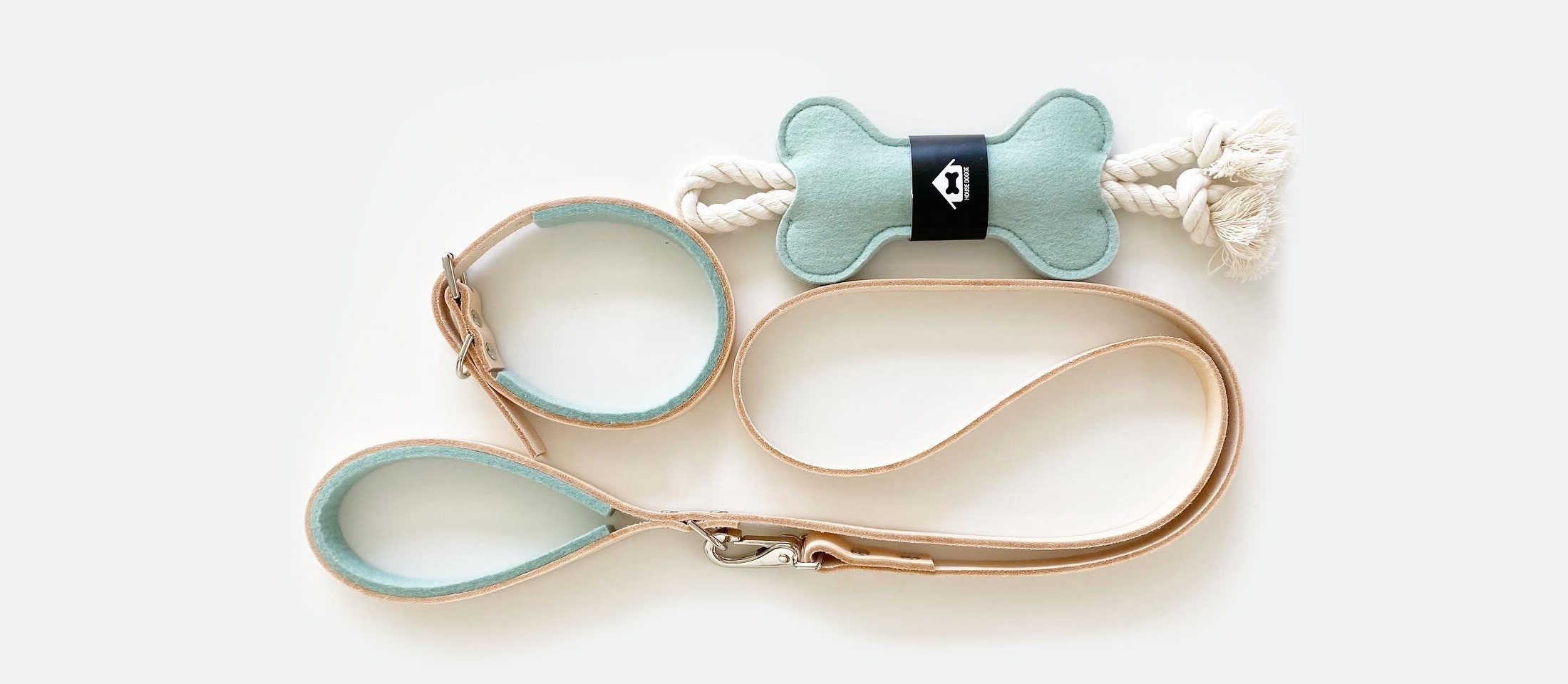 Mint-colored turquoise dog collar and leash laying on a white background.